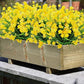 Outdoor Artificial Flowers(2 bundles）Free postage Delivered to your door