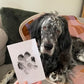 🎁 50% OFF🐶Pet Paw Printing Kit🐾🐾