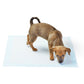 Dog Pad(20 Pcs)