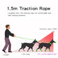 Escape Proof Pets Vest Harness and Leash Set