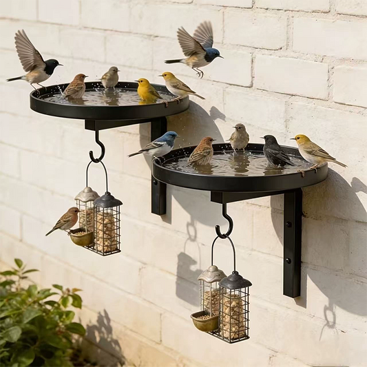 🐦Wall-Mounted Metal Bird Bath – Antique Bronze Finish 🏡