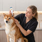 ⏳🔥LIMITED-TIME 50% OFF! ⏰Gentle Pet Ear Cleaner Solution‑Soothing 🐶